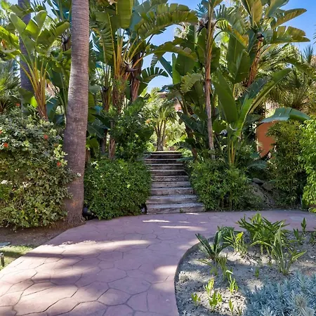 Apartment Beautifull Penthouse, Big Solarium With Seaview And Exotic Oasis Gardens Estepona